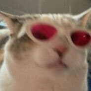 jeruzzzQAQ