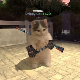 Drippy-Cat