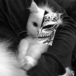 wwatcher