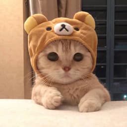 Temp------