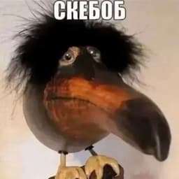 _sava-_