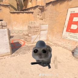 Ang6l