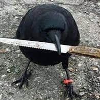 Crowmikaze