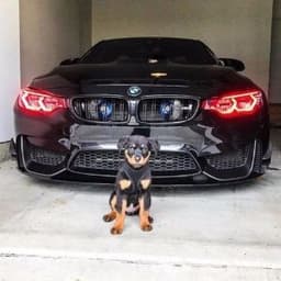 _QsLESh