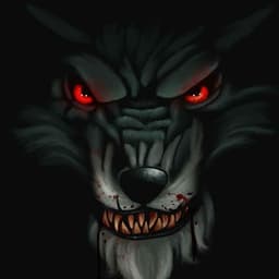 -_WoLF__-