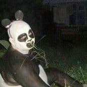 NeBJebator