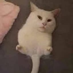 notreal