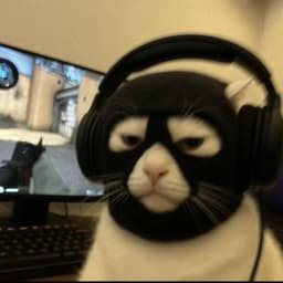 Baguser