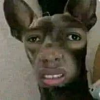 PATOTASXD