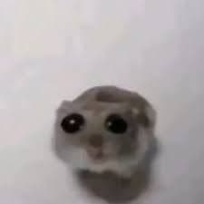 alma---