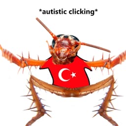 Turkeysucks