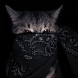 BLACK-__-CAT