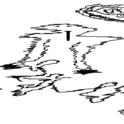 zztooci
