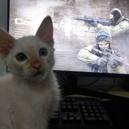 sizz_1e