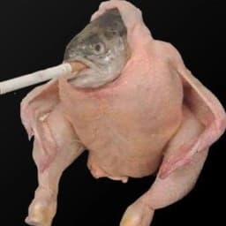 SNAFUtheDOG