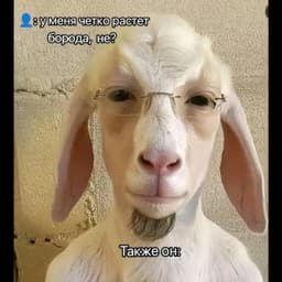 Duk_060