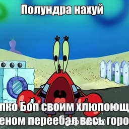 zewssssf