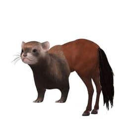 Nayots22