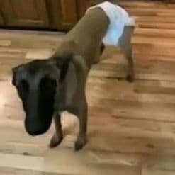 -PISKI-