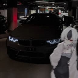 sfudy1