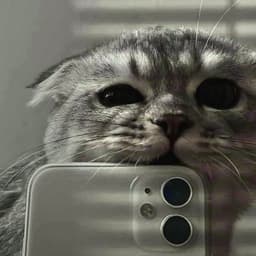 Qu1tum