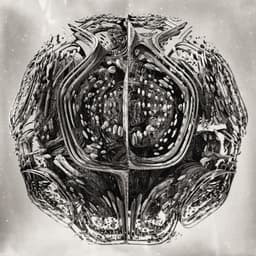 BioBioDeath