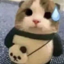 KjNg_32