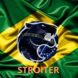 Stroiter_ofc