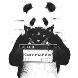 CoMMaNDeR_MD