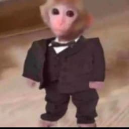 Tem4TYTA