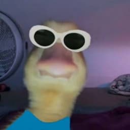 Elit3BioDoge