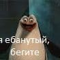 REVEX_Q