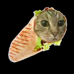 NEdaYm0k