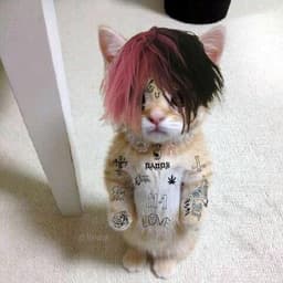 Un_Grr
