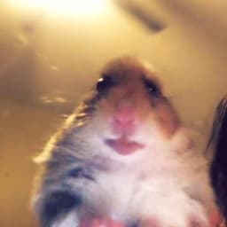 seooo