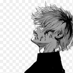 -Stray