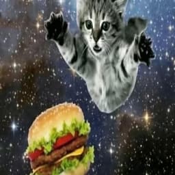 Bl4ckl0rd