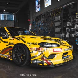 LisFox312