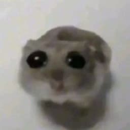 melash