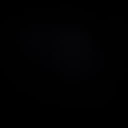 mxm_shn
