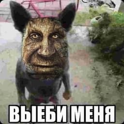 -Hello_guys-