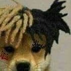 ruecs_