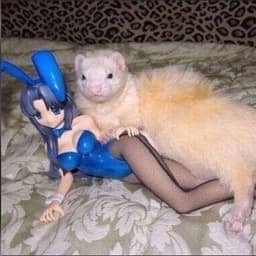 Perfelics2
