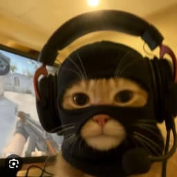 Ban_g0gH