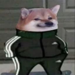 Baki_-