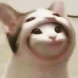 _Luc1