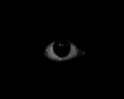 C0FF33