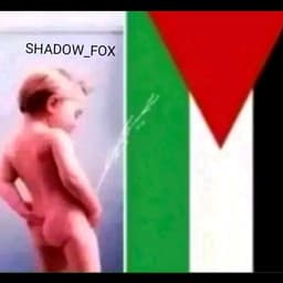 SHADOW_FOX2R