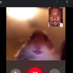 hamstaball