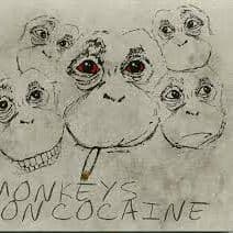 CoxMonkey